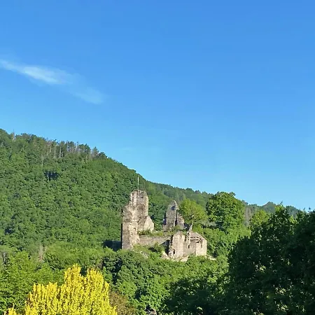 Haus Maria Isenburg - Naturpark Rhein-Westerwald Extérieur photo